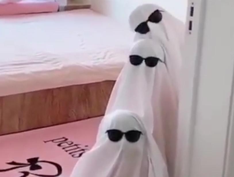 妈妈一生气哈哈大笑,老公惹妈妈生气怎么哄