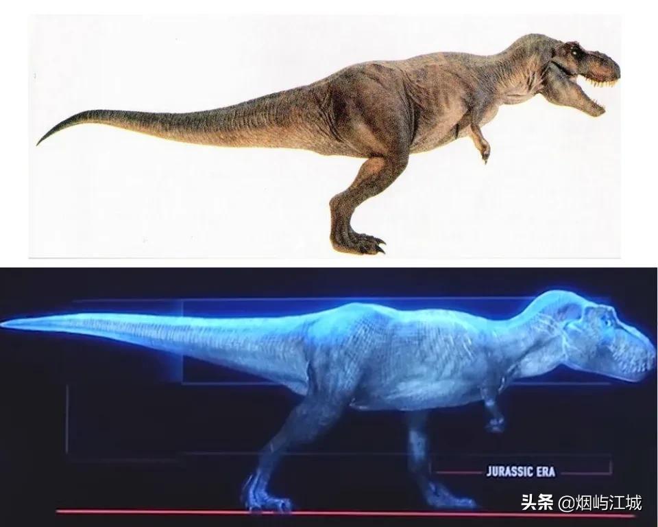 暴龙的形态,暴龙的不同形态