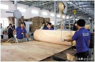 2分钟教你读懂板材,胶合板的质量要求