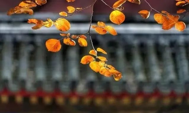 二十四节气课程立秋,二十四节气课程实施方案