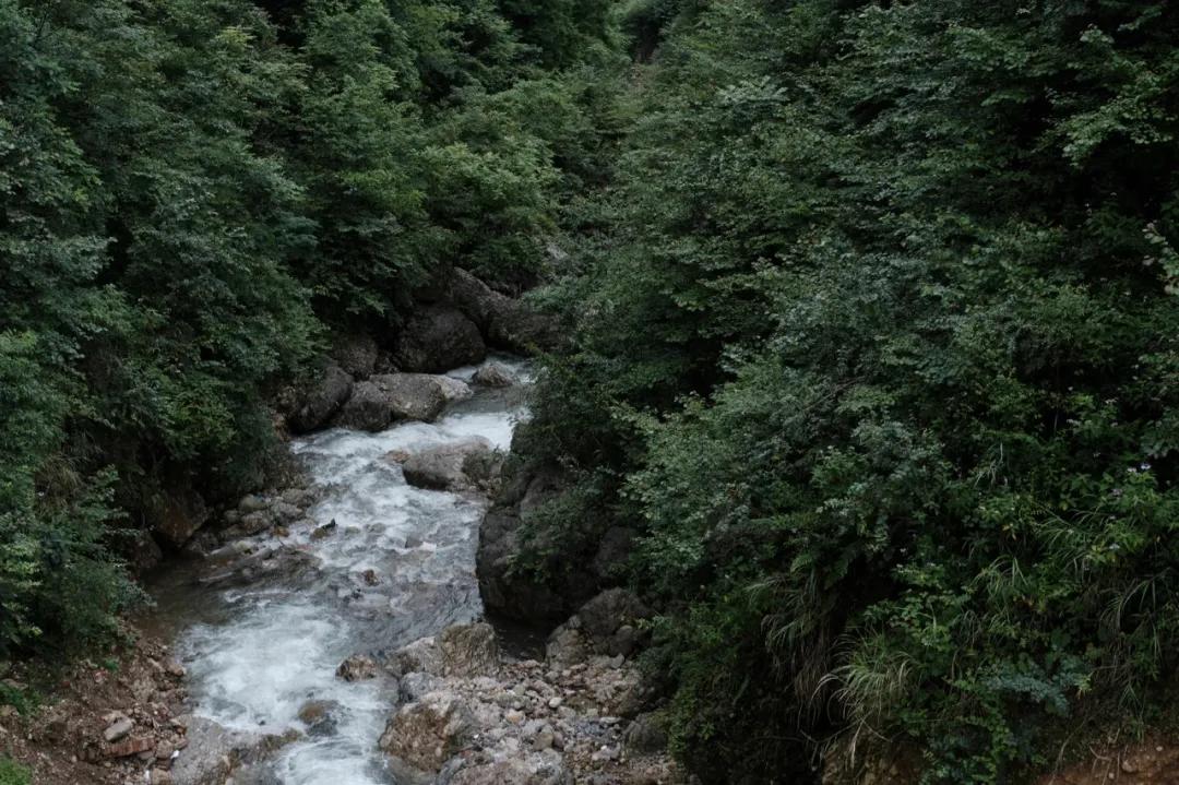 去了青城山才知道的宝藏民宿,青城山避暑农家小院