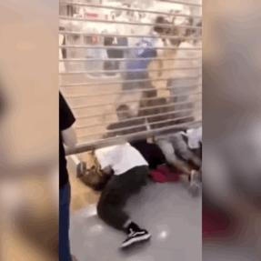 gnz杩锋儜琛屼负澶ц祻,浼樿。搴撳叏鍛樻伓浜簁aws