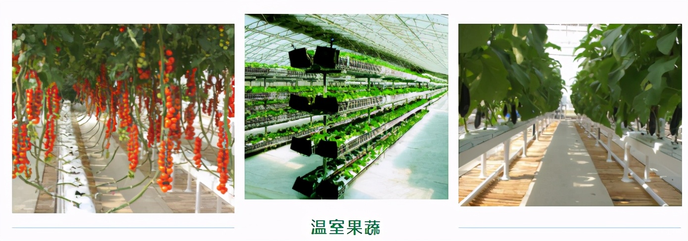 现货批发椰糠栽培基质,进口优质椰糠基质