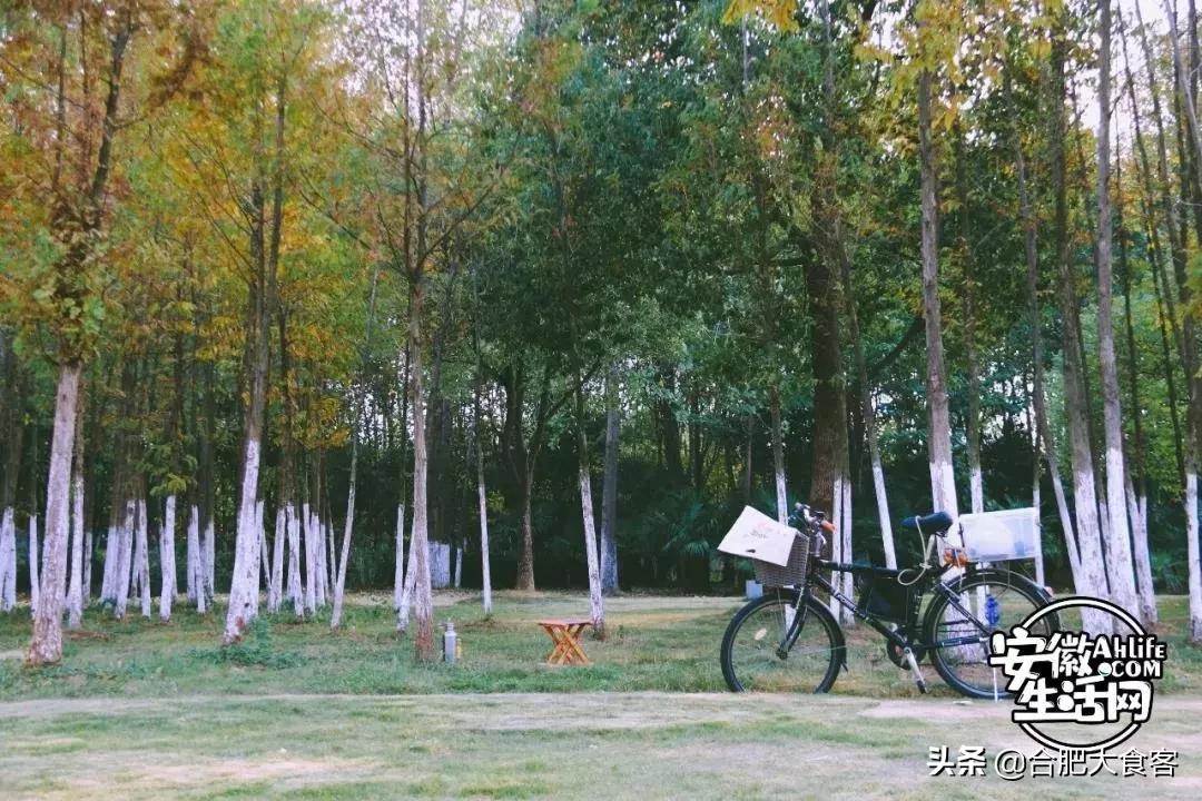 2020年,在这50个地方遇见不一样的合肥