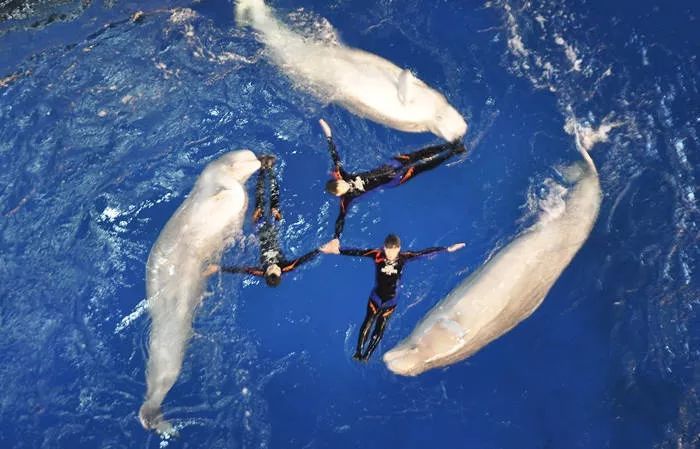 上海休闲娱乐好去处可以呆一整天,上海十大免费玩的地方