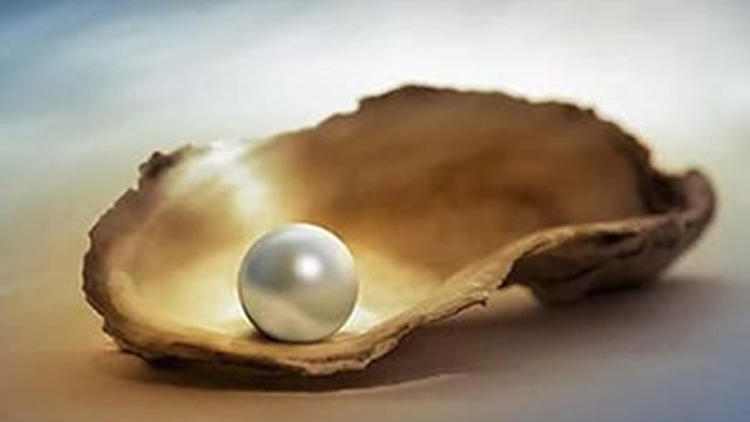 北海老街的珍珠粉,北海北部湾珍珠粉