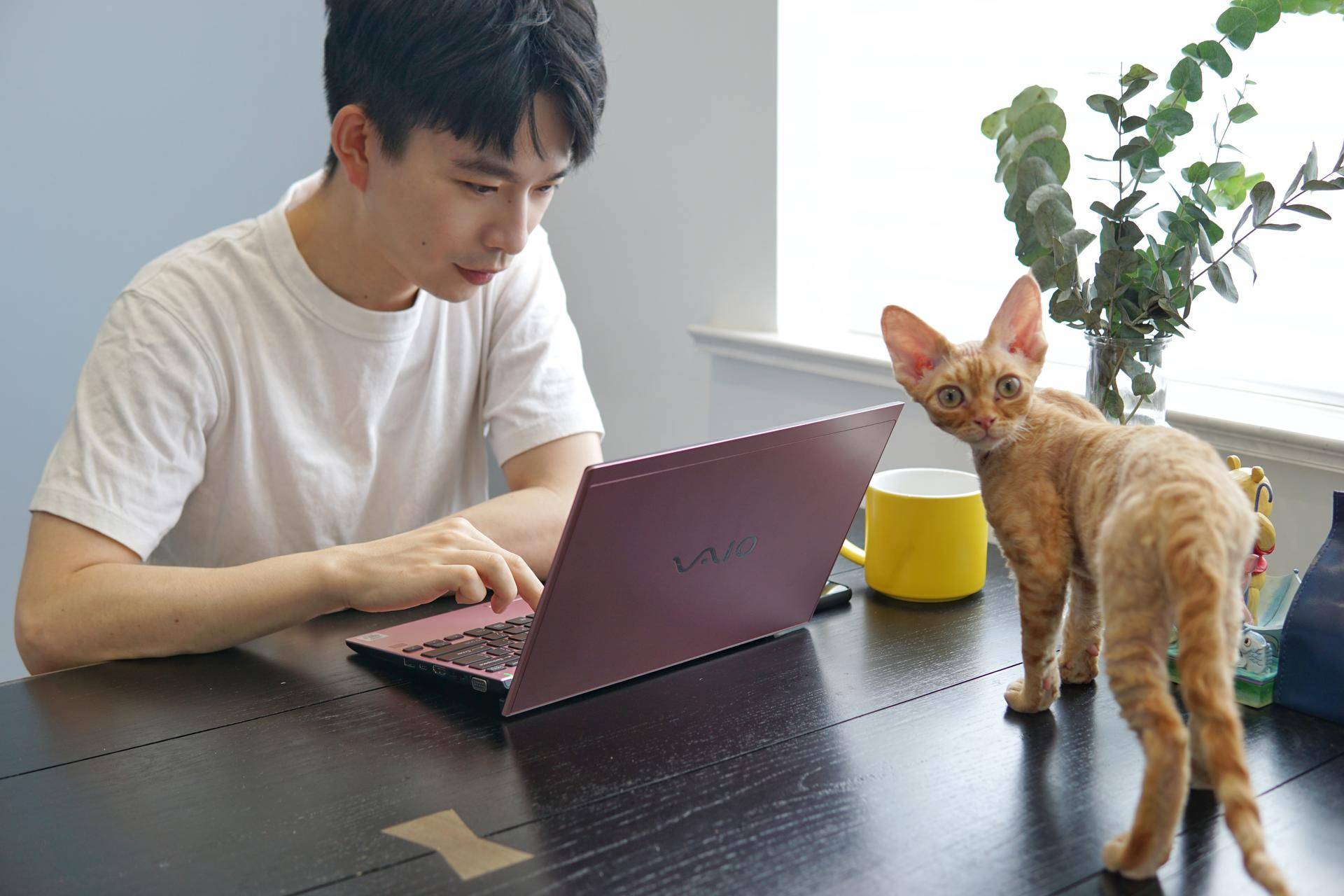 双十一必买数码清单,双十一快速购物清单