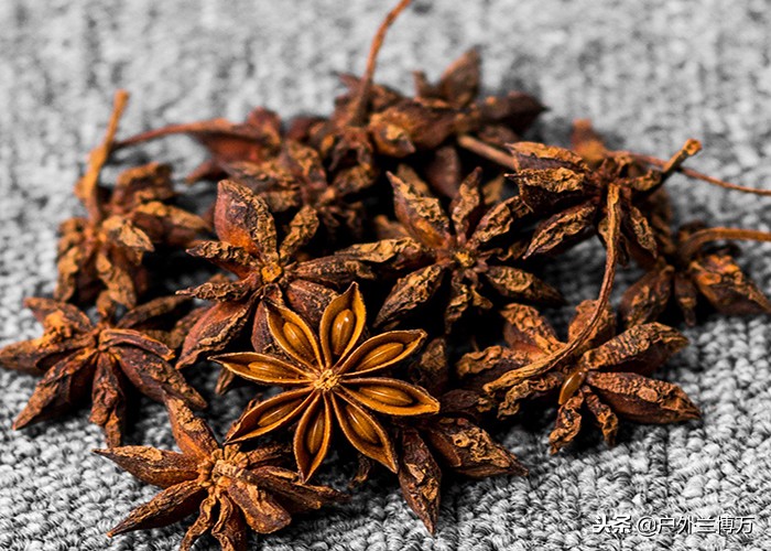 丁香油钓鱼窝料配方,新式丁香油钓鱼配方