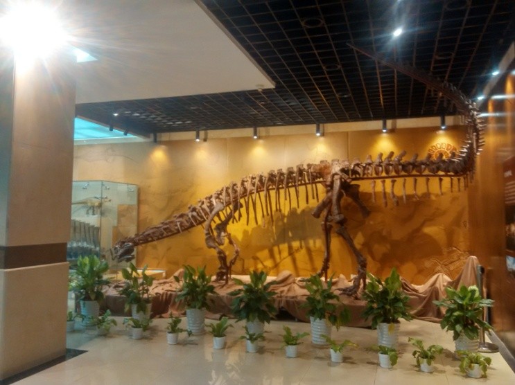 趣谈成语学科学（15）：叶公好龙续新篇（上）