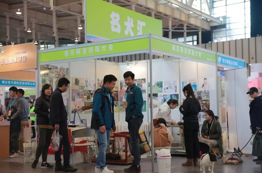 萌宠齐聚南京宠物博览会,day1
