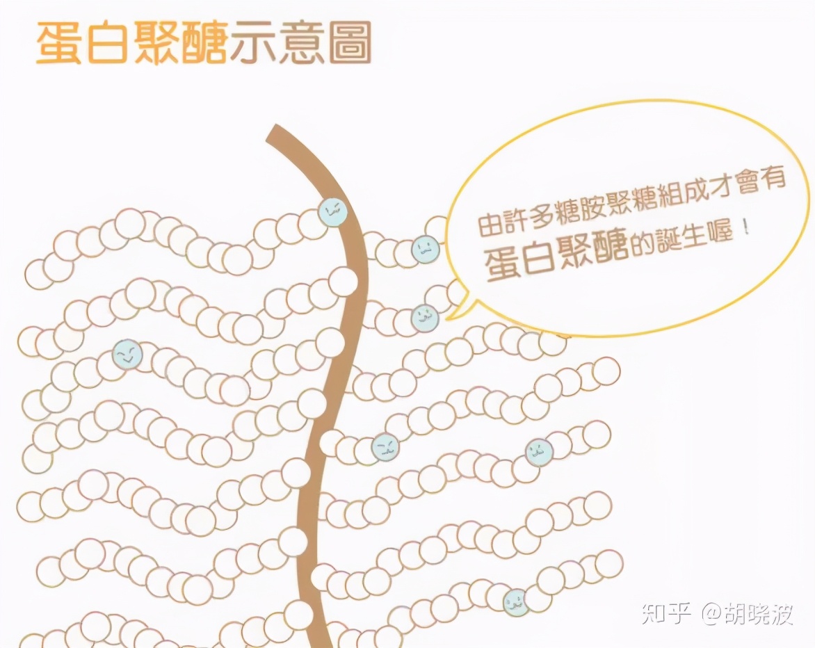 欧莱雅哪款眼霜中含玻色因,欧莱雅哪款含了玻色因高