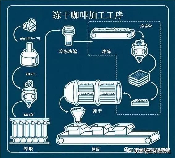 30元一杯星巴克,30元一瓶的星巴克咖啡