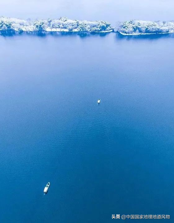 什么是西湖成语,什么是西湖莼菜