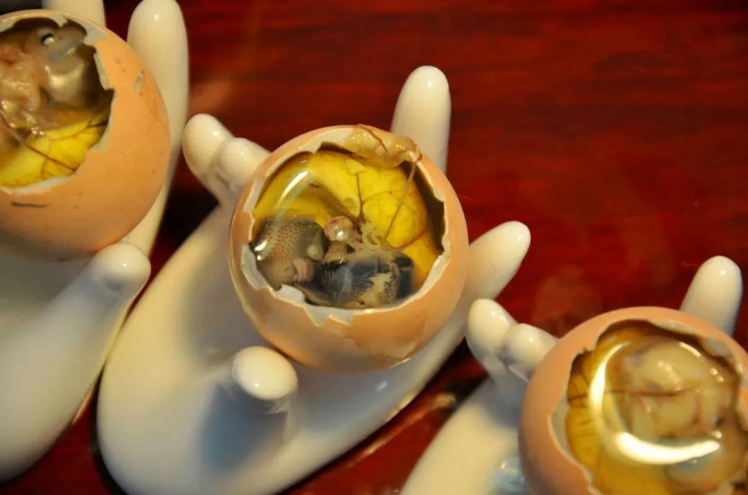 一颗鸡蛋的冒险之旅,一颗鸡蛋的旅行游戏