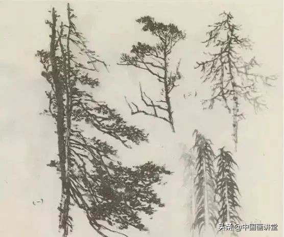 缠枝、挺杆、屈节、钮裂、一棵树如何画?看了这篇你绝对能学会