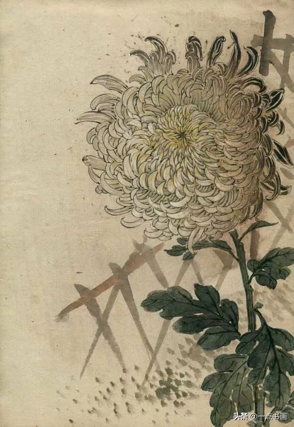 缪谷瑛菊花国画作品专辑,缪谷瑛菊花画法