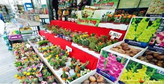 巴塞罗那攻略,巴塞罗那市场游玩攻略