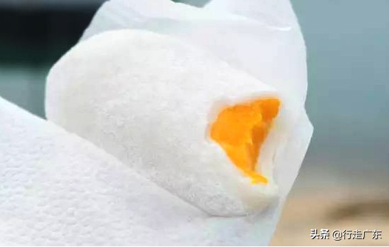 麦兜香港旅游攻略,香港旅游市井