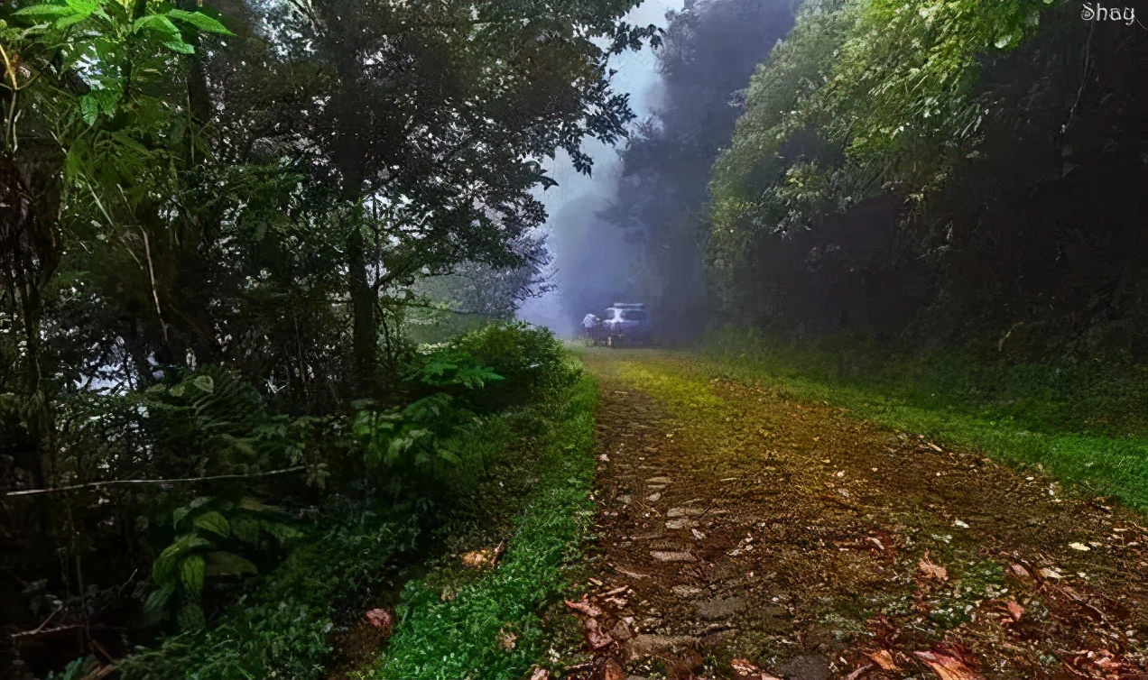 云南18个县城被评为天然氧吧,中国云南天然氧吧城市有哪几个