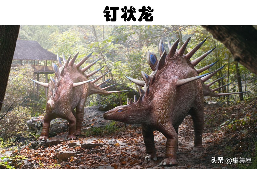 最有特点的十种恐龙介绍,世界上目前发现的最强的恐龙