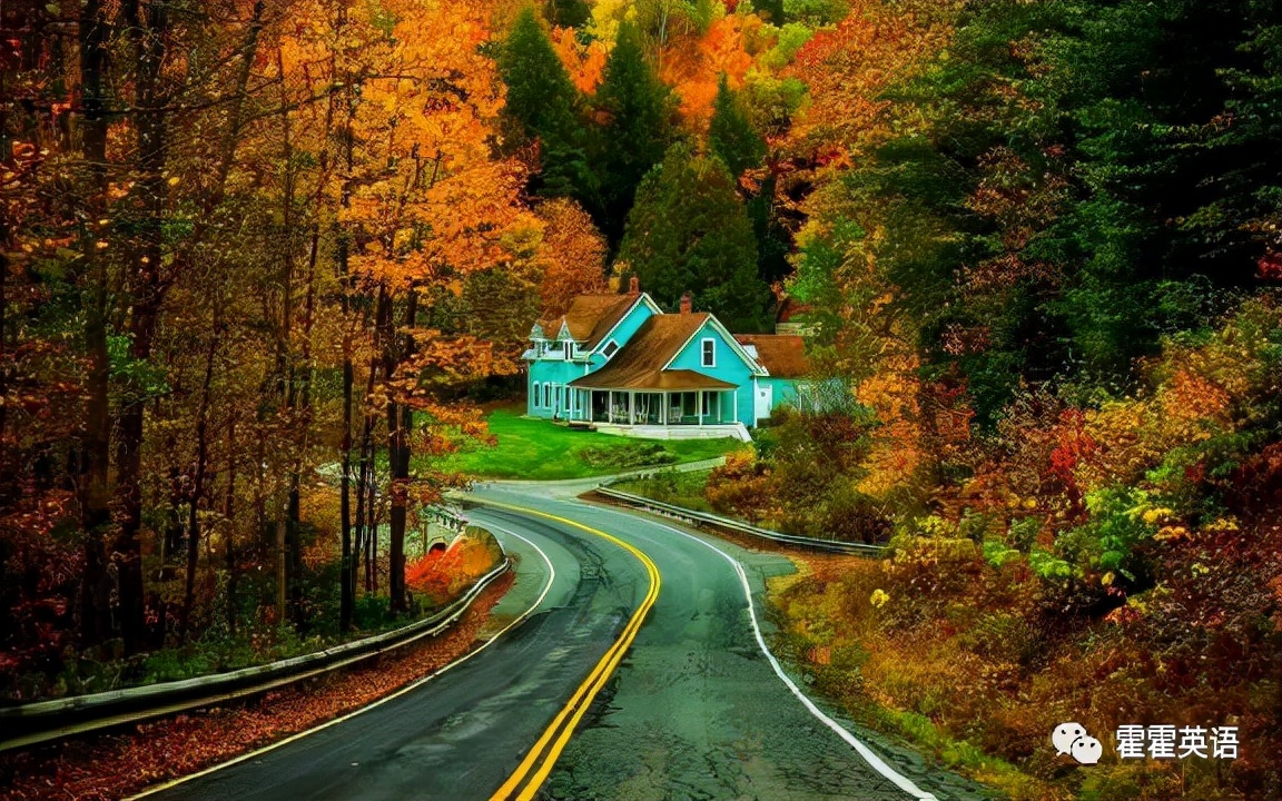 无灵主语句的翻译技巧,无灵主语句的简单例子