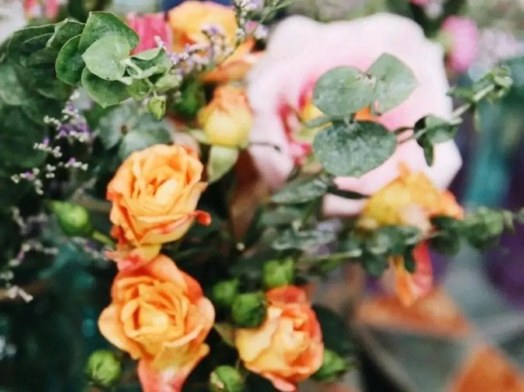 对你爱的人说谢谢,如果你爱的人总是跟你说谢谢