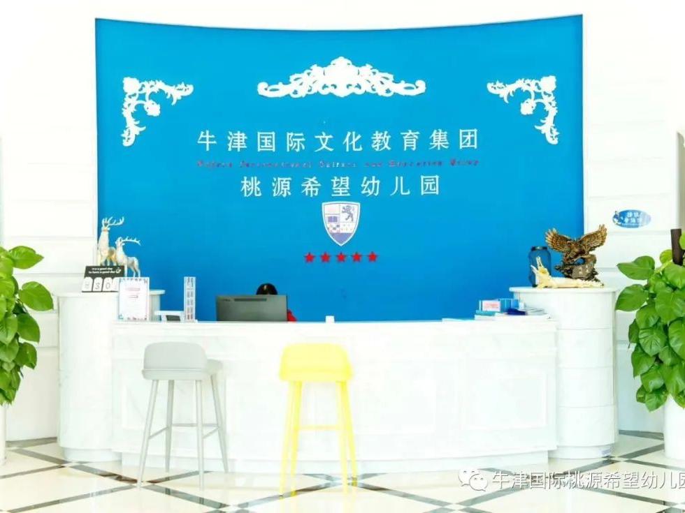 常德桃源公办小学招生政策,常德桃源高中招生计划