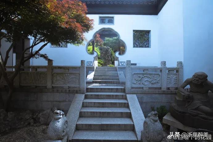 《橘子红了》拍摄地风光正当时!苏州吴中东山美食美景等你来