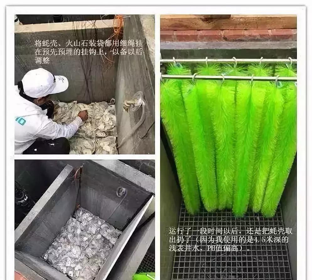 庭院锦鲤鱼池过滤改造,小院锦鲤鱼池建造过程