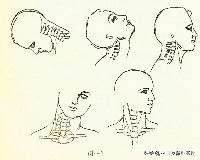 擒拿格斗的运动规律和人体的解剖结构