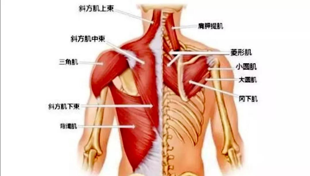 太极练功札记5,太极拳修行日志6式