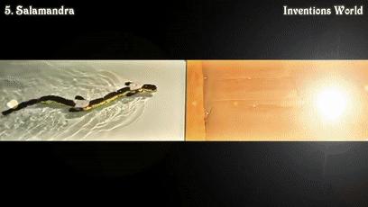 收藏！国外的这五款机器人，看了之后对你有没有什么启发呢？