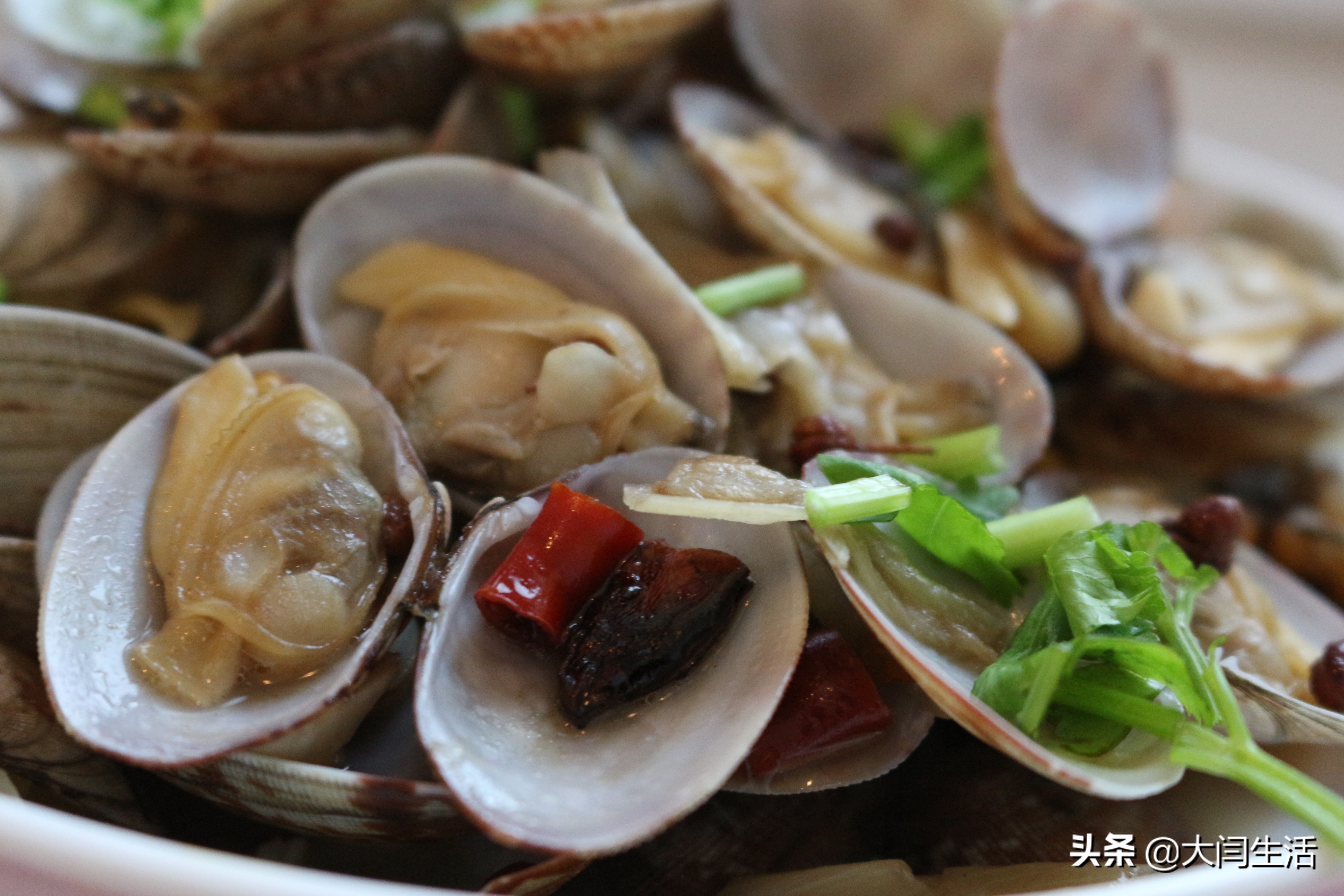 爆炒花蛤怎么吐沙最快,花蛤吐沙吐不干净