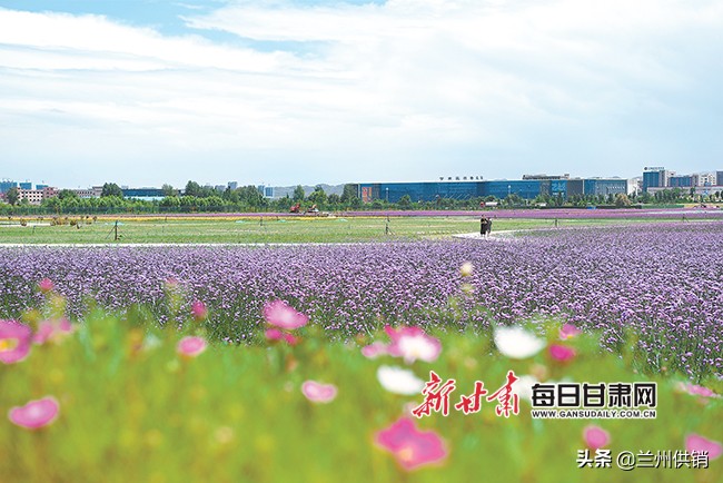 兰州最美发展底色,兰州的生态文明建设的成果