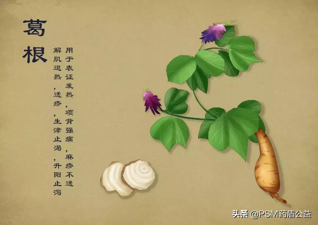 春暖花开手绘视频,春暖花开中药贴画