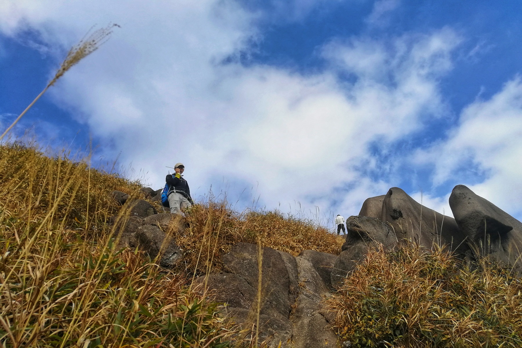广东云髻山在哪里,新丰云髻山枫叶红了吗