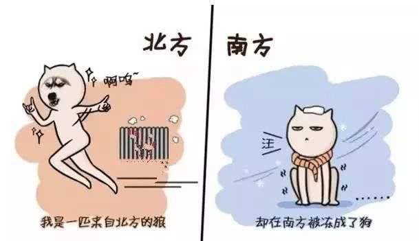 寒流来袭羽绒服持续热卖,羽绒服双11便宜0.28元