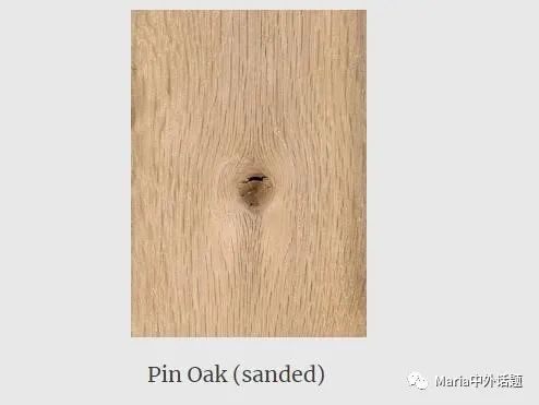 缇庡浗姗℃湪浜у尯,缇庡浗鍖楅儴姗℃湪