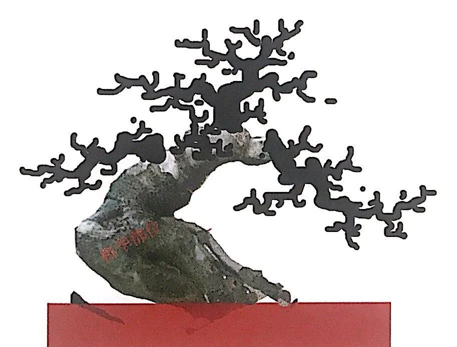 新手榆树盆景造型设计,榆树盆景造型设计教程