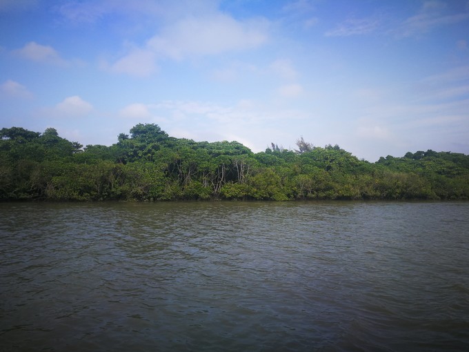 海口旅游美食全攻略,海口逛吃攻略