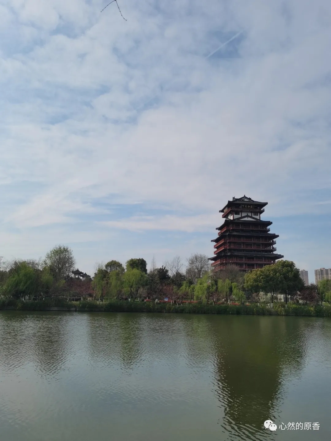 陈艳萍襄阳,天门陈艳萍