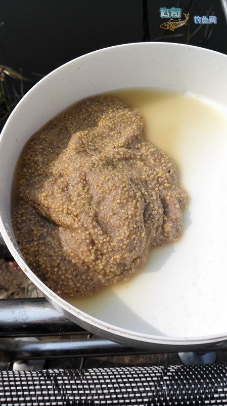 饵料反水后饵料会变成什么样,商品饵料如何解决反水