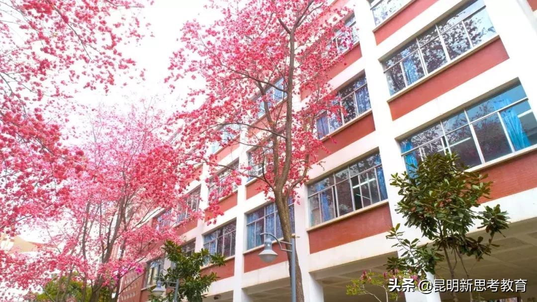 昆明市第一中学西山分校,昆明第一中学西山学校2019届