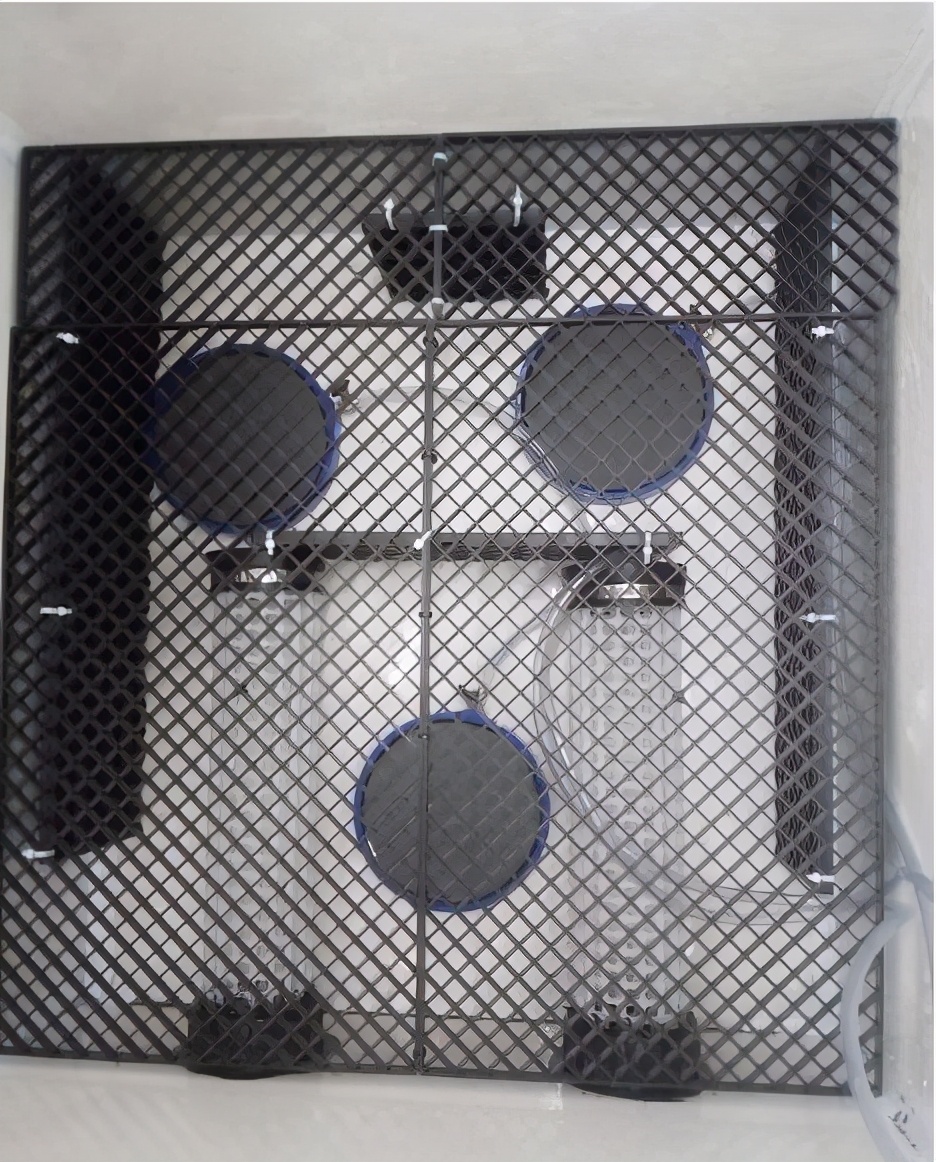 自己做大型水陆缸,在家自己打造一个沙漠缸