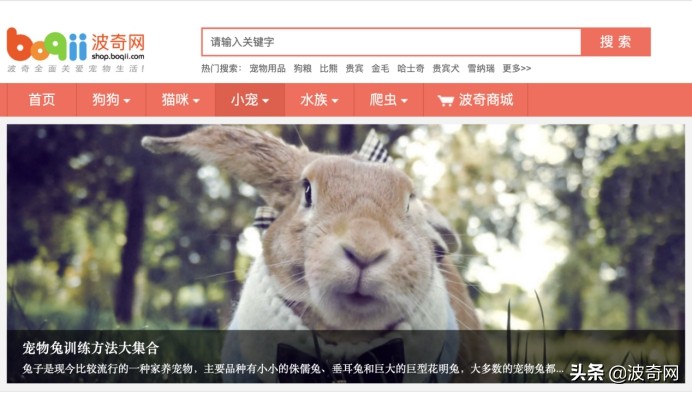 小宠市场,可以摆摊卖的小宠