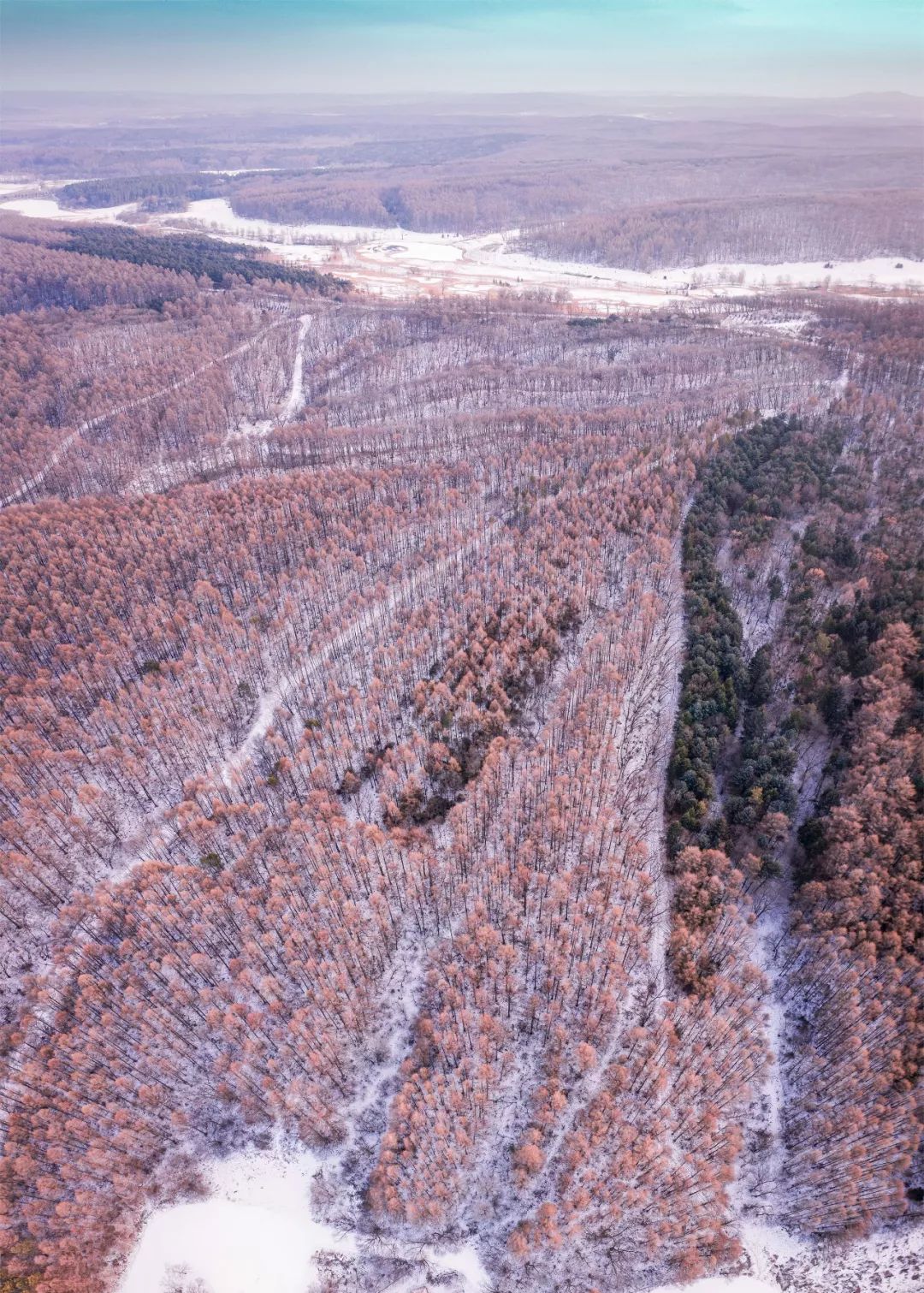 一汽长春如今怎么样了,曾经的长春一汽