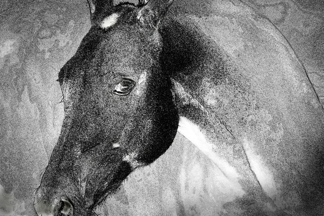 拍马都追不上的成语,拍马都赶不上的成语