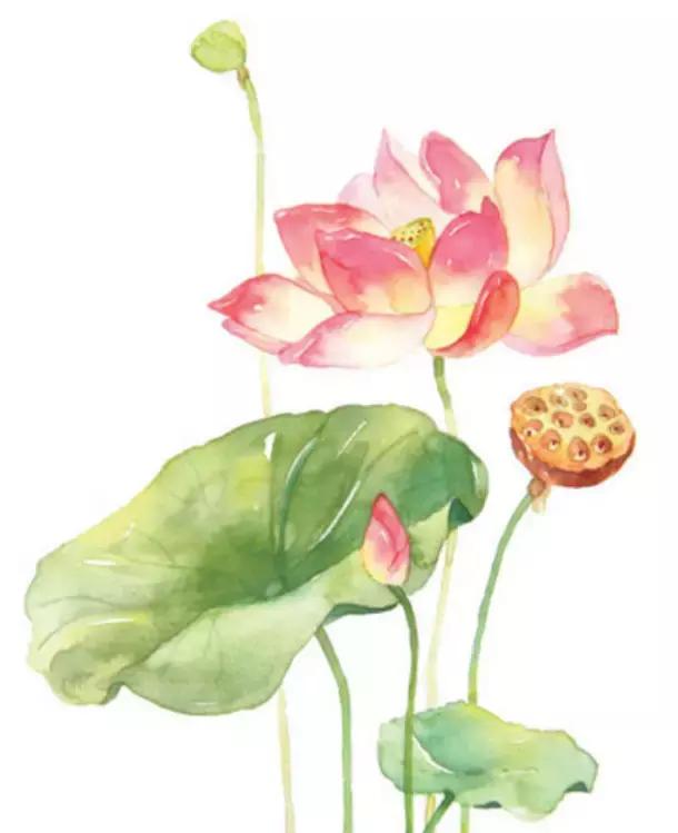 千年相思的唯美诗句,相思入骨的经典诗句