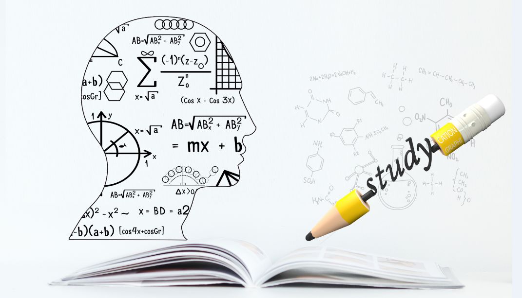 封印启示录我们需要什么房子,奈斯启示录房子要求