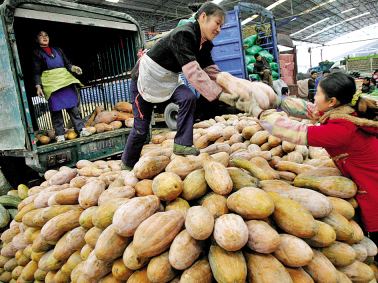 水果批发如何找货源,水果批发货源